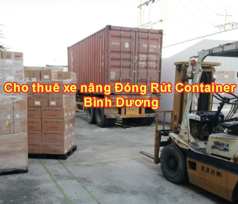 cho thue xe nang dong rut container (cong) tai binh duong