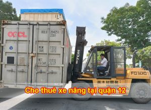 cho thuê xe nâng tại quận 12